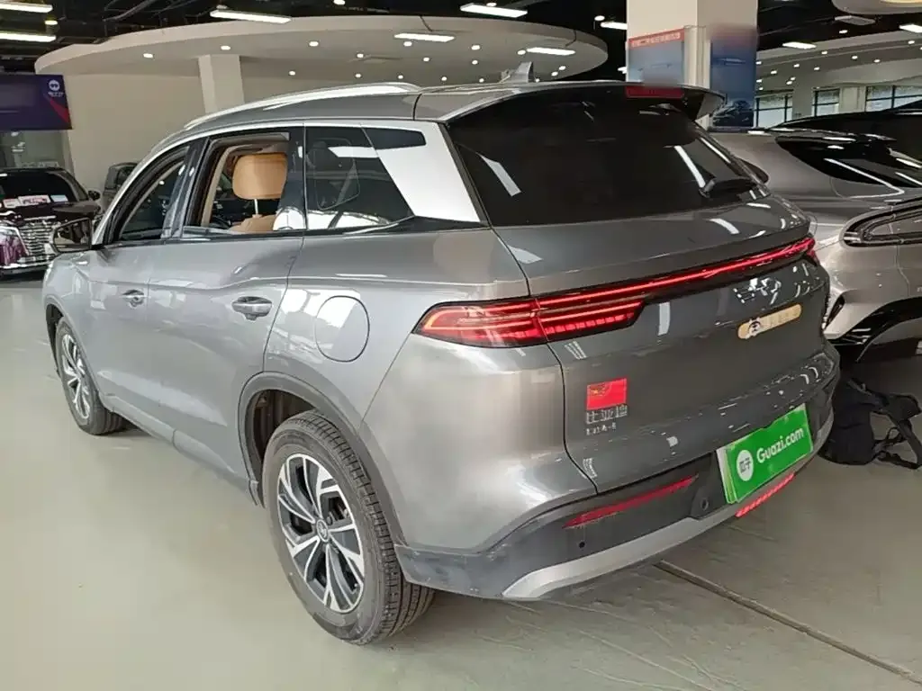 BYD Pro New Energy — фото 4