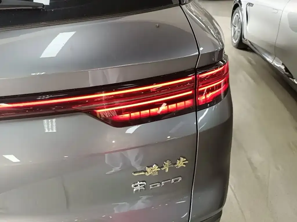 BYD Pro New Energy — фото 10