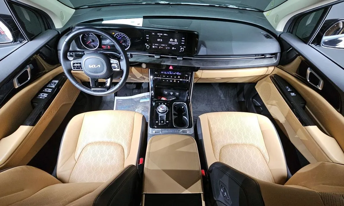 Kia Carnival — фото 10