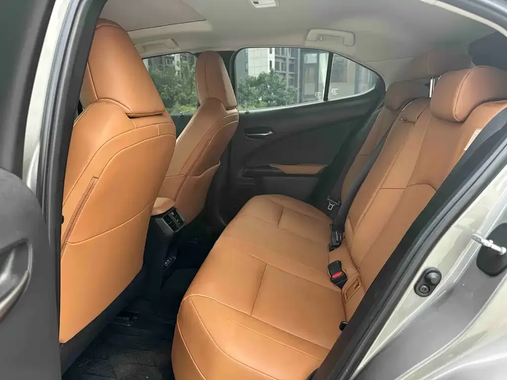Lexus UX New Energy — фото 8