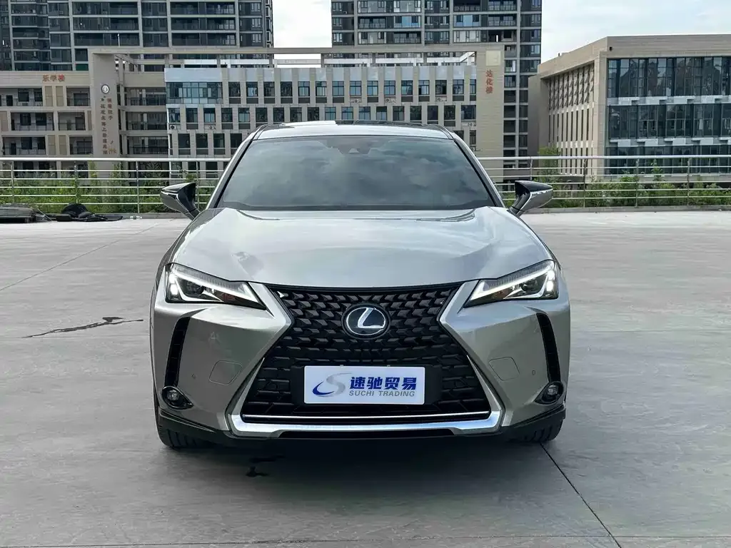 Lexus UX New Energy — фото 6