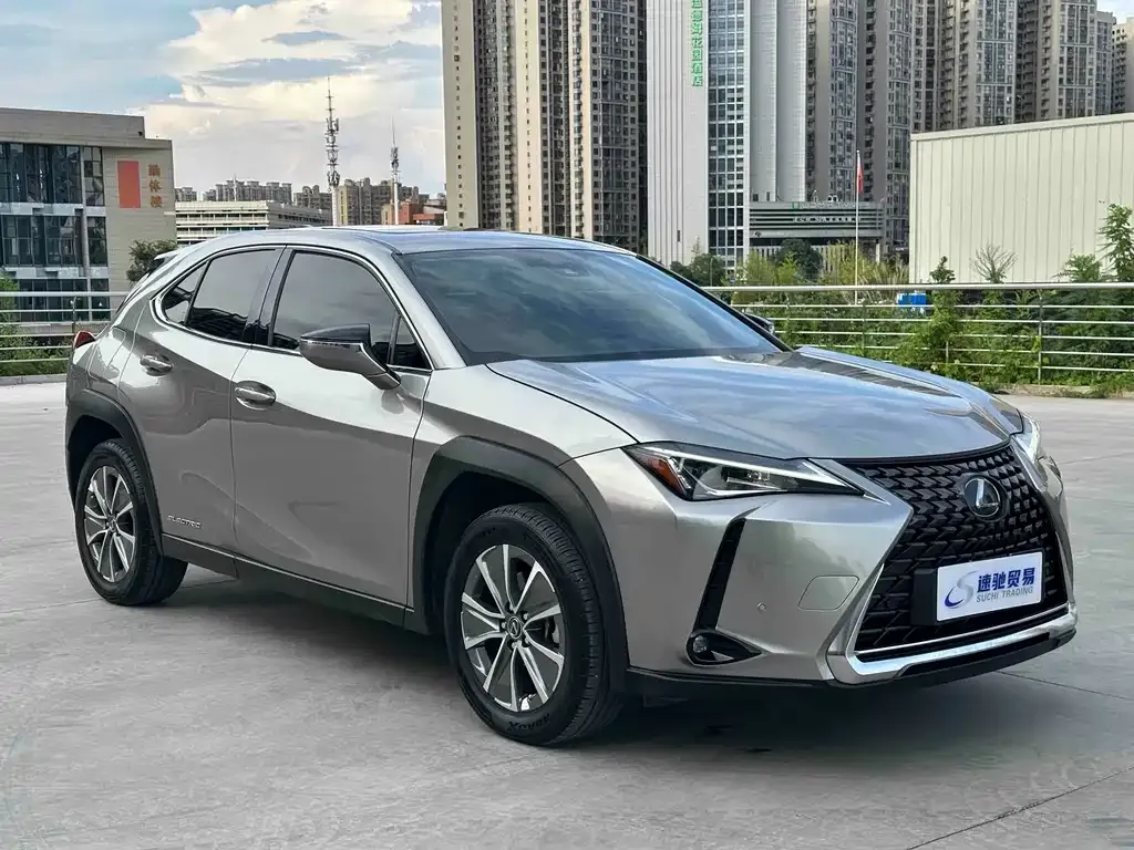 Lexus UX New Energy — фото 9