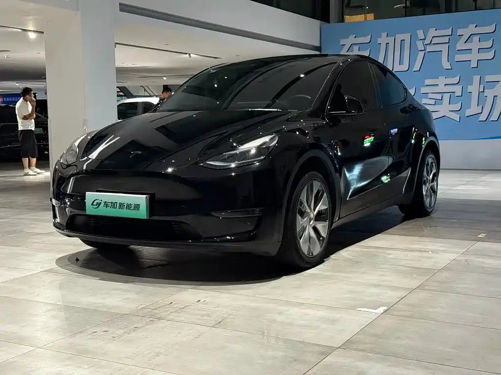 Tesla Model Y — фото 1