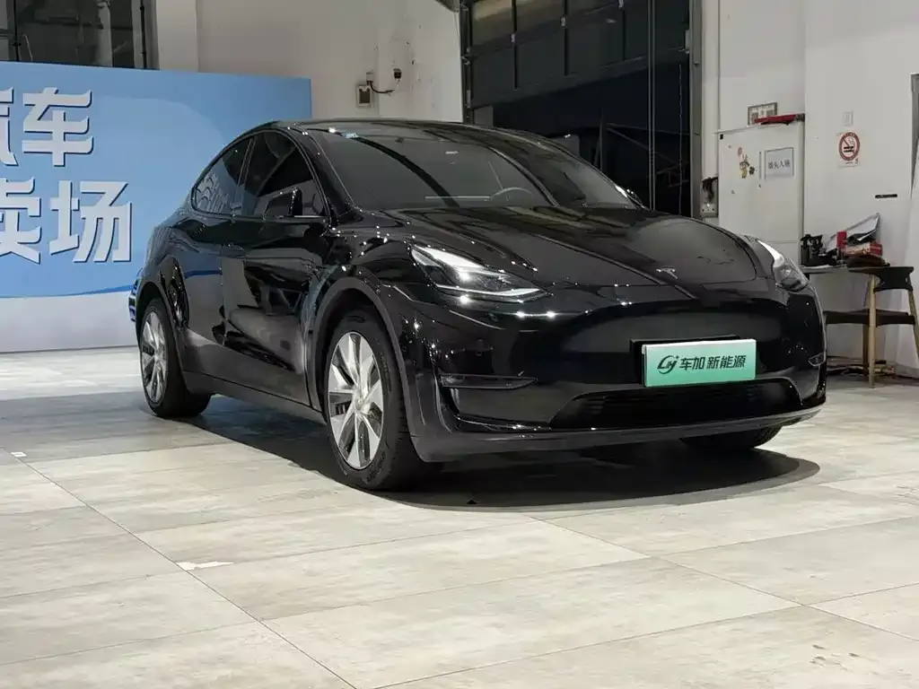 Tesla Model Y — фото 10
