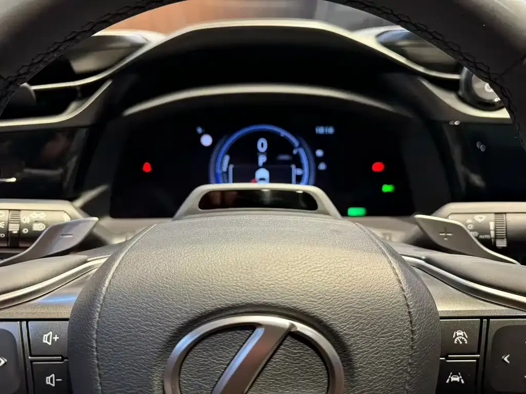 Lexus RZ — фото 8