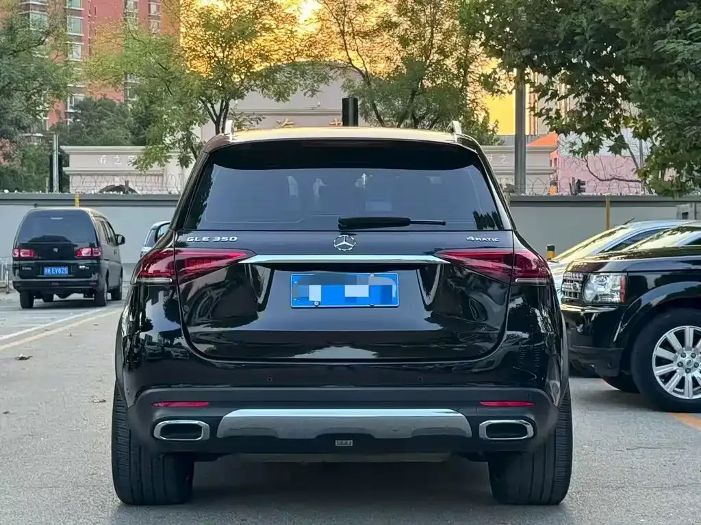 Mercedes-Benz GLE (Import) — фото 3