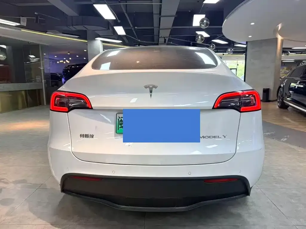 Tesla Model Y — фото 3