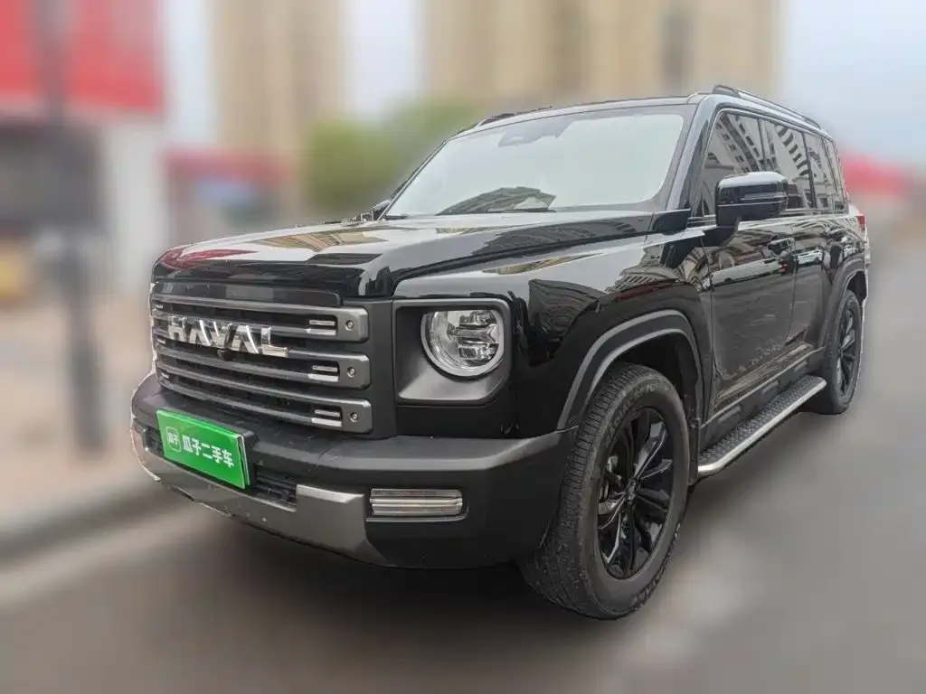 Haval Menglong New Energy — фото 1