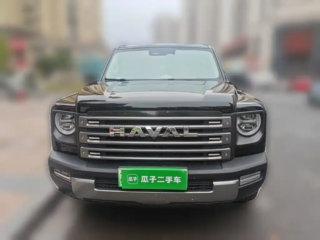 Haval Menglong New Energy — фото 7