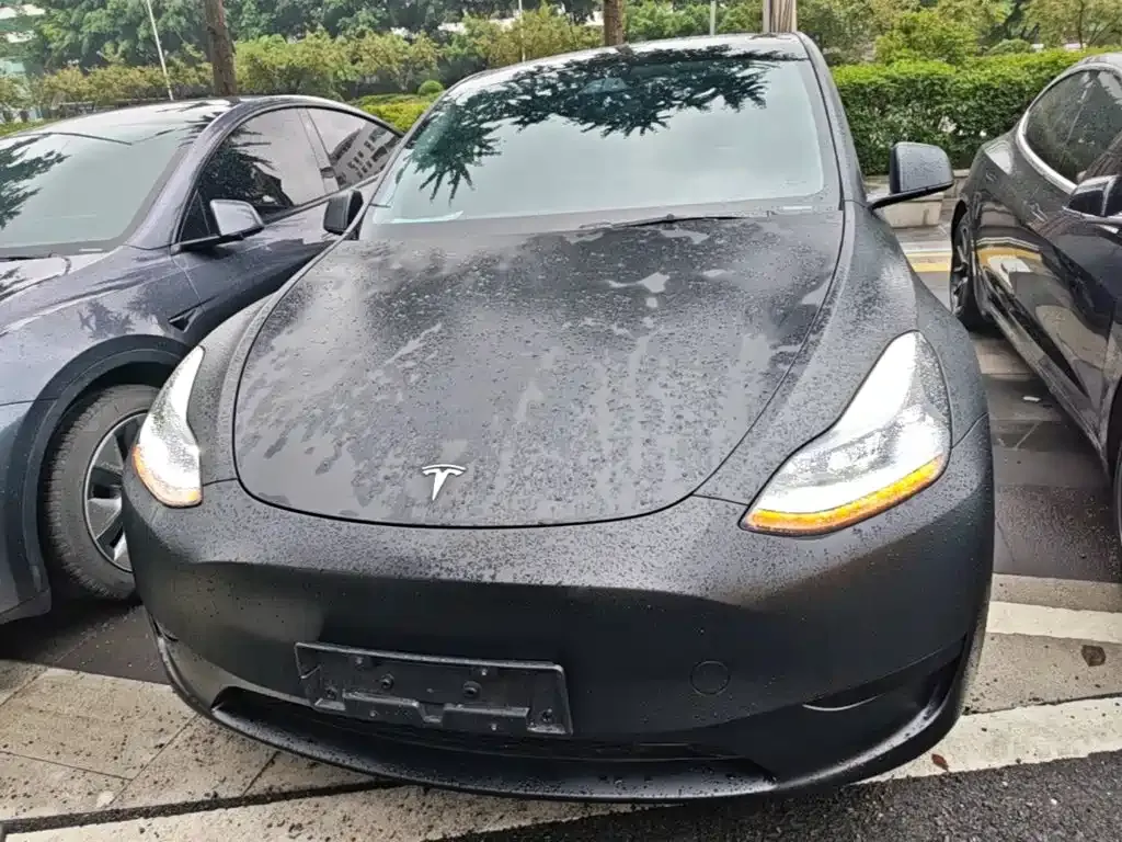 Tesla Model Y — фото 9