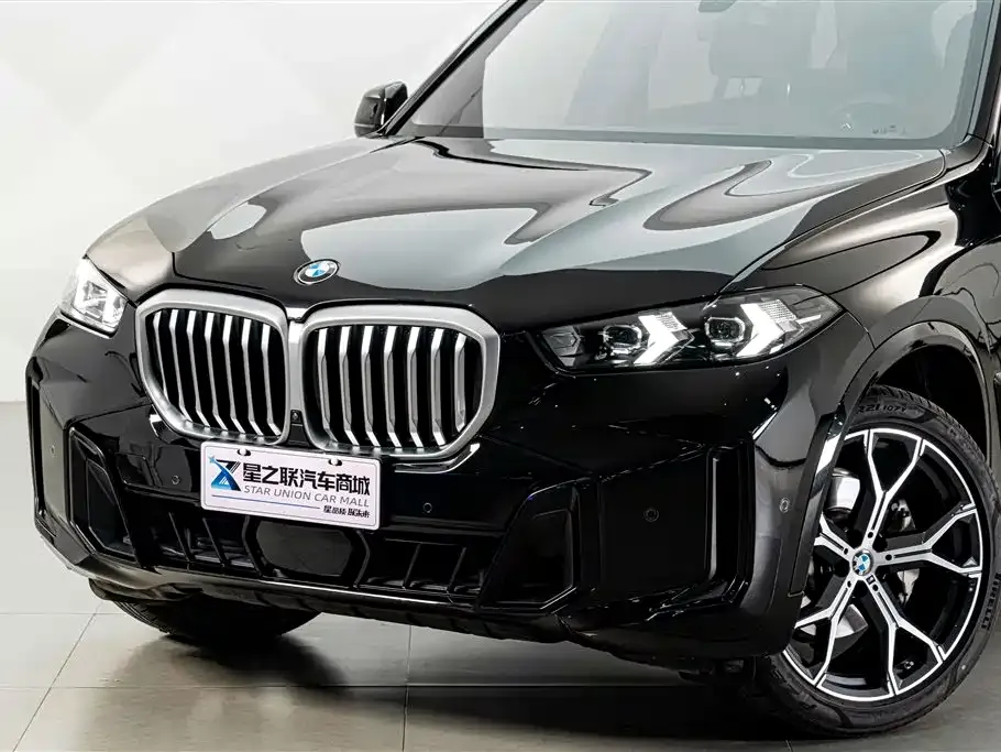 BMW X5 — фото 8