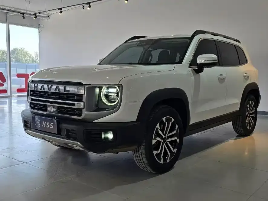 Haval Big Dog — фото 1