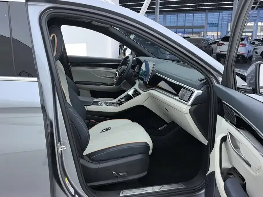 BYD PLUS New Energy — фото 10