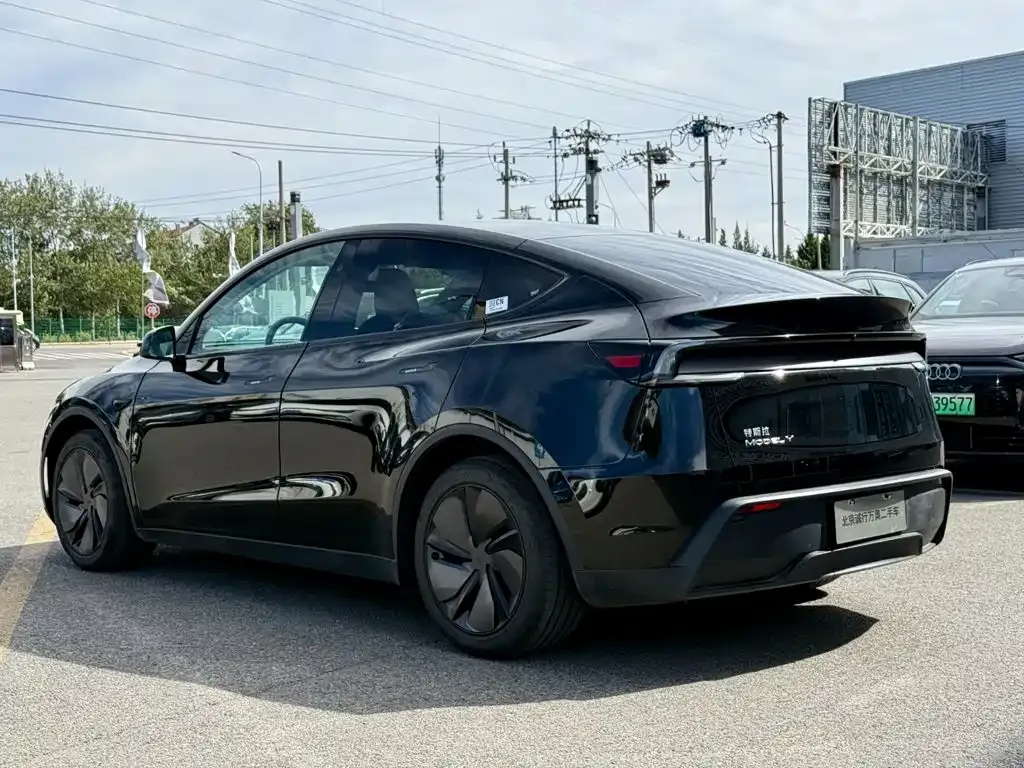 Tesla Model Y — фото 5