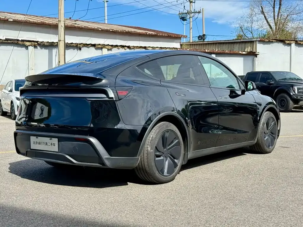 Tesla Model Y — фото 3