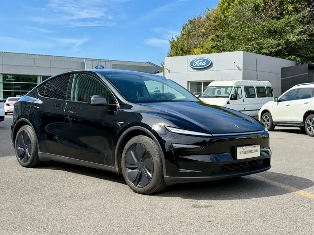 Tesla Model Y — фото 4