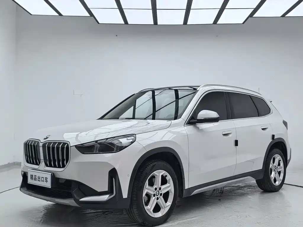 BMW X1 — фото 1
