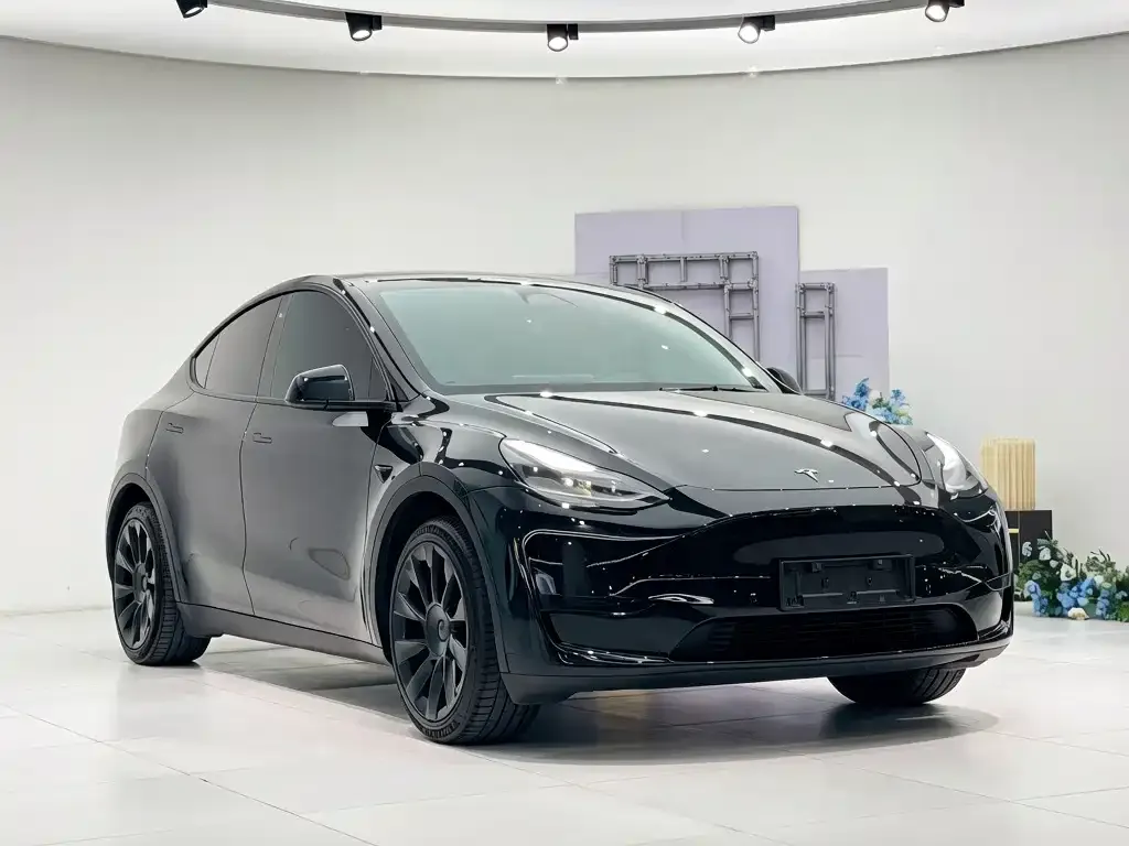 Tesla Model Y — фото 2
