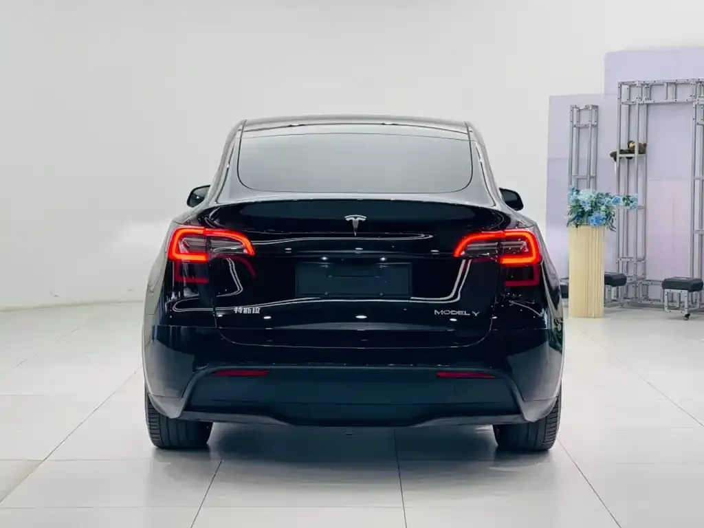 Tesla Model Y — фото 10