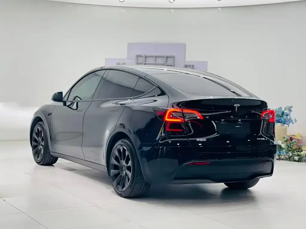 Tesla Model Y — фото 9