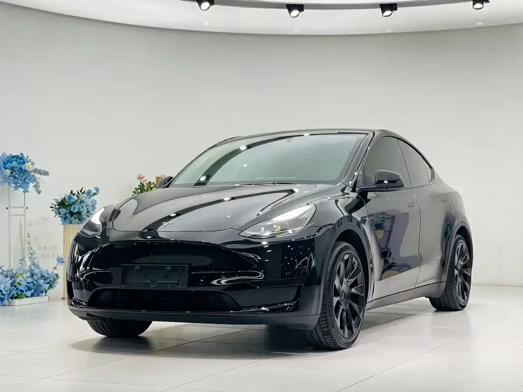 Tesla Model Y — фото 8