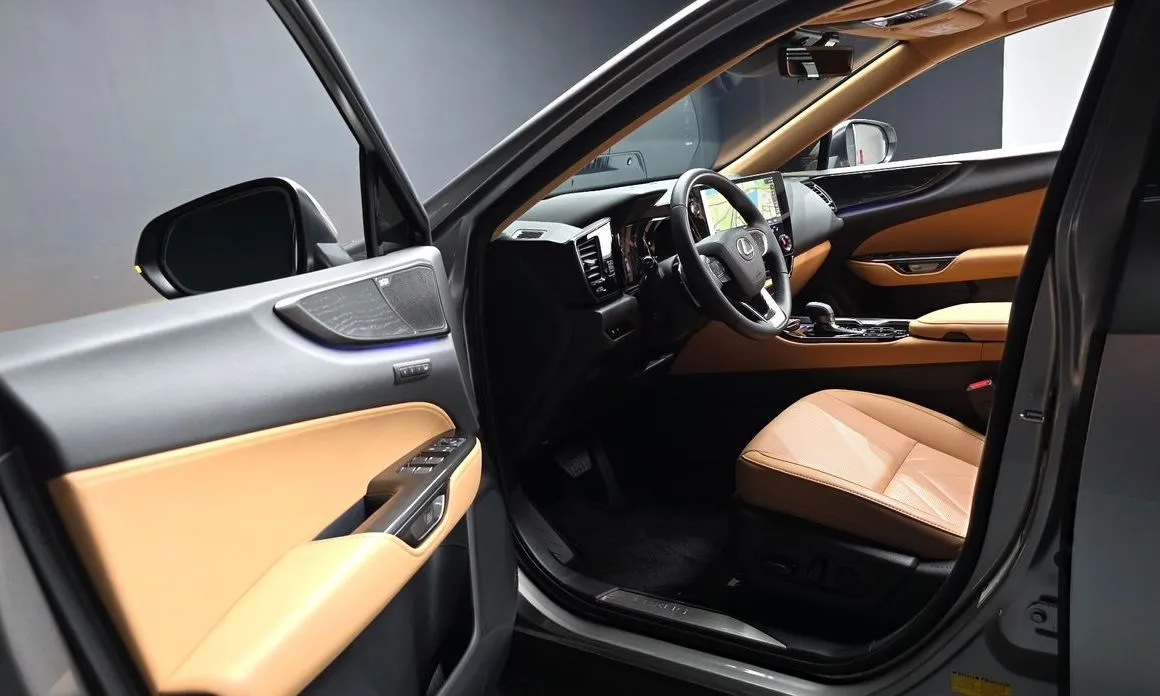 Lexus NX — фото 9