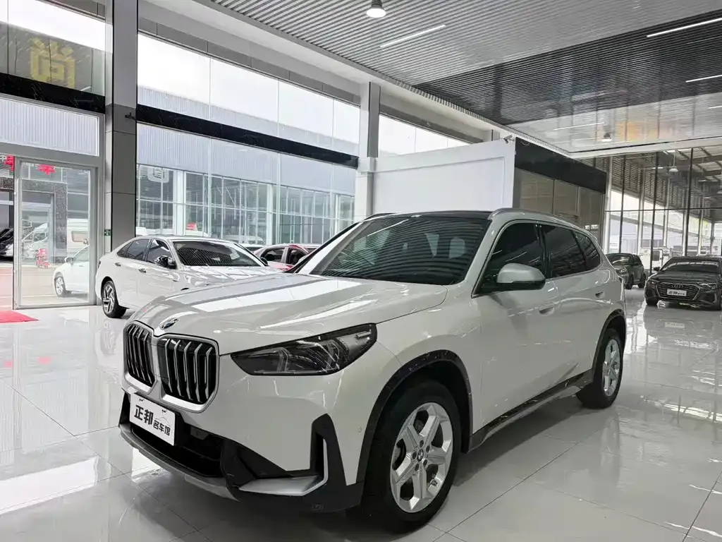 BMW X1 — фото 1