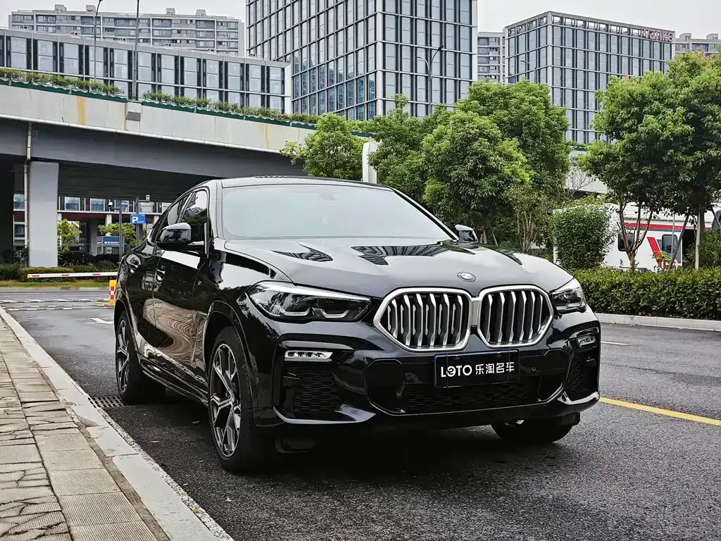 BMW X6 — фото 10