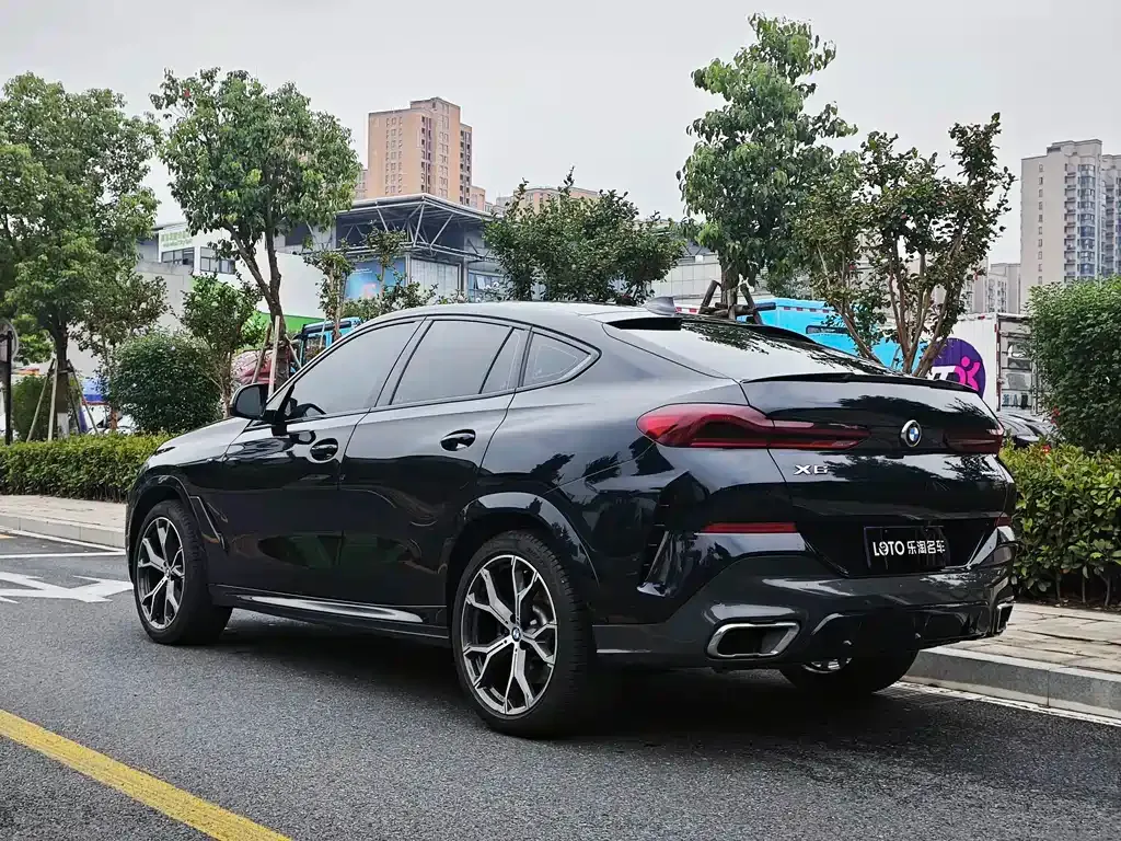 BMW X6 — фото 9