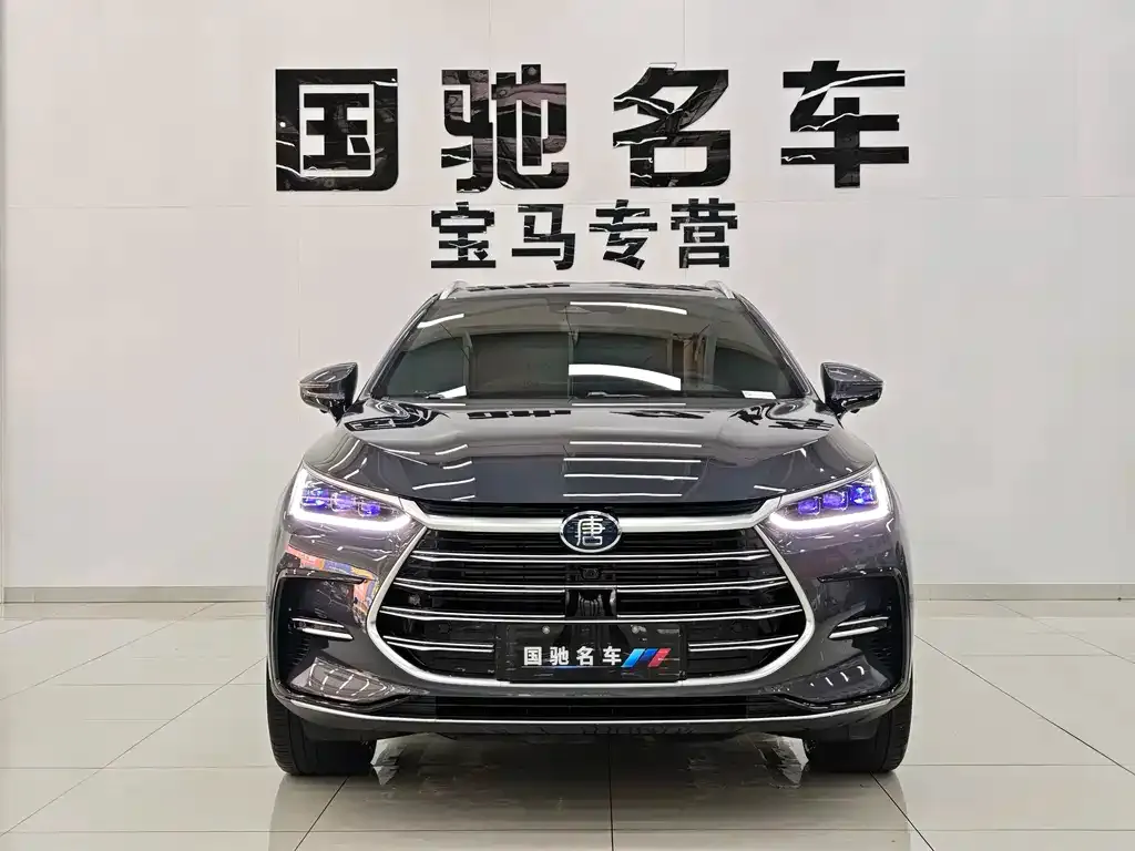 BYD Tang New Energy — фото 9