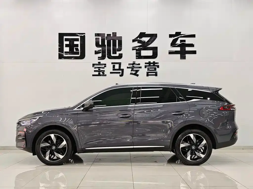 BYD Tang New Energy — фото 4