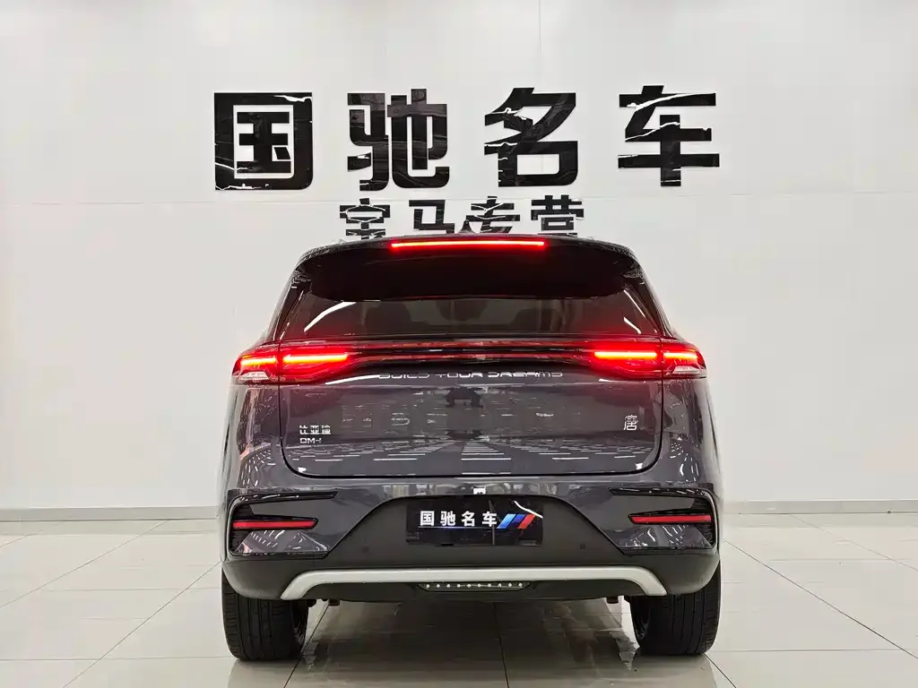 BYD Tang New Energy — фото 8