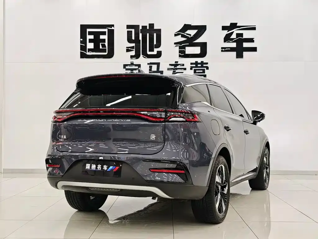 BYD Tang New Energy — фото 6