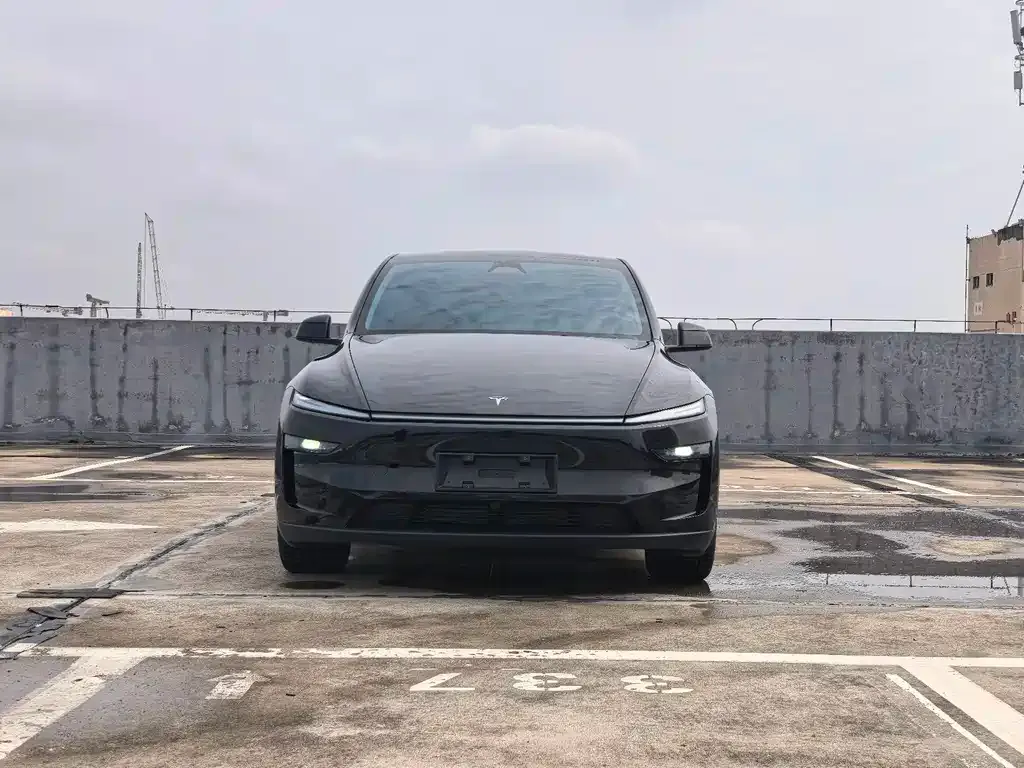 Tesla Model Y — фото 2