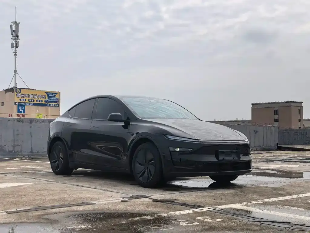 Tesla Model Y — фото 8