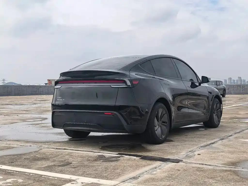Tesla Model Y — фото 9