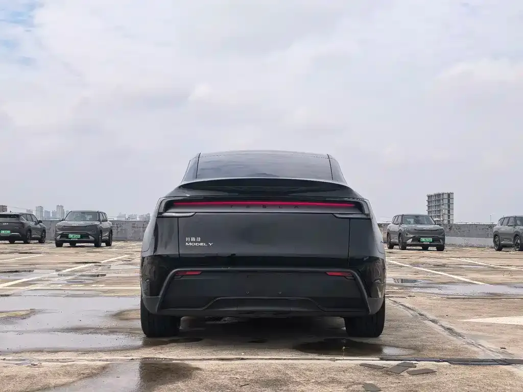 Tesla Model Y — фото 3