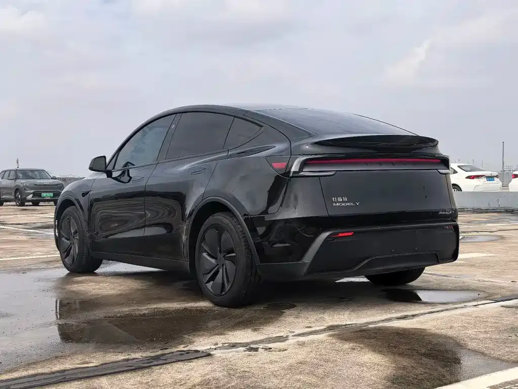 Tesla Model Y — фото 10