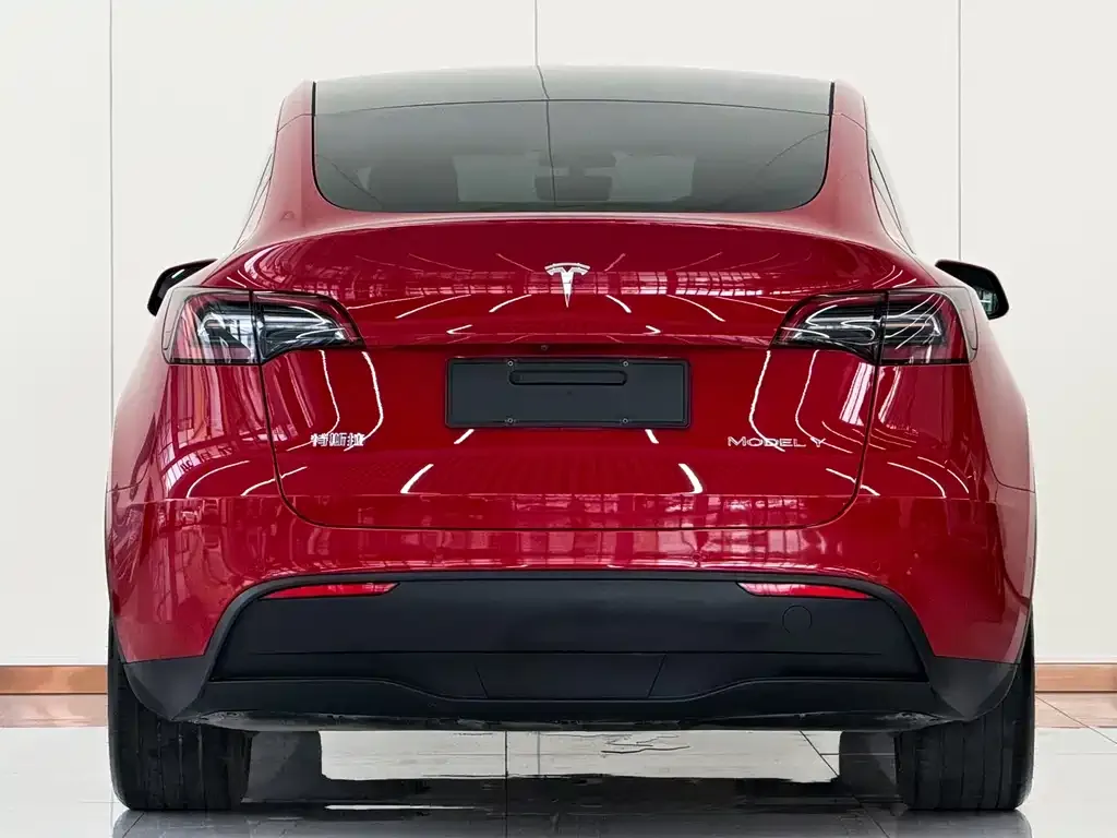 Tesla Model Y — фото 10
