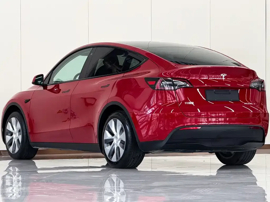 Tesla Model Y — фото 7