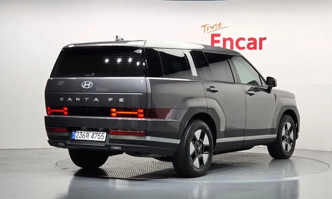 Hyundai Santafe — фото 10