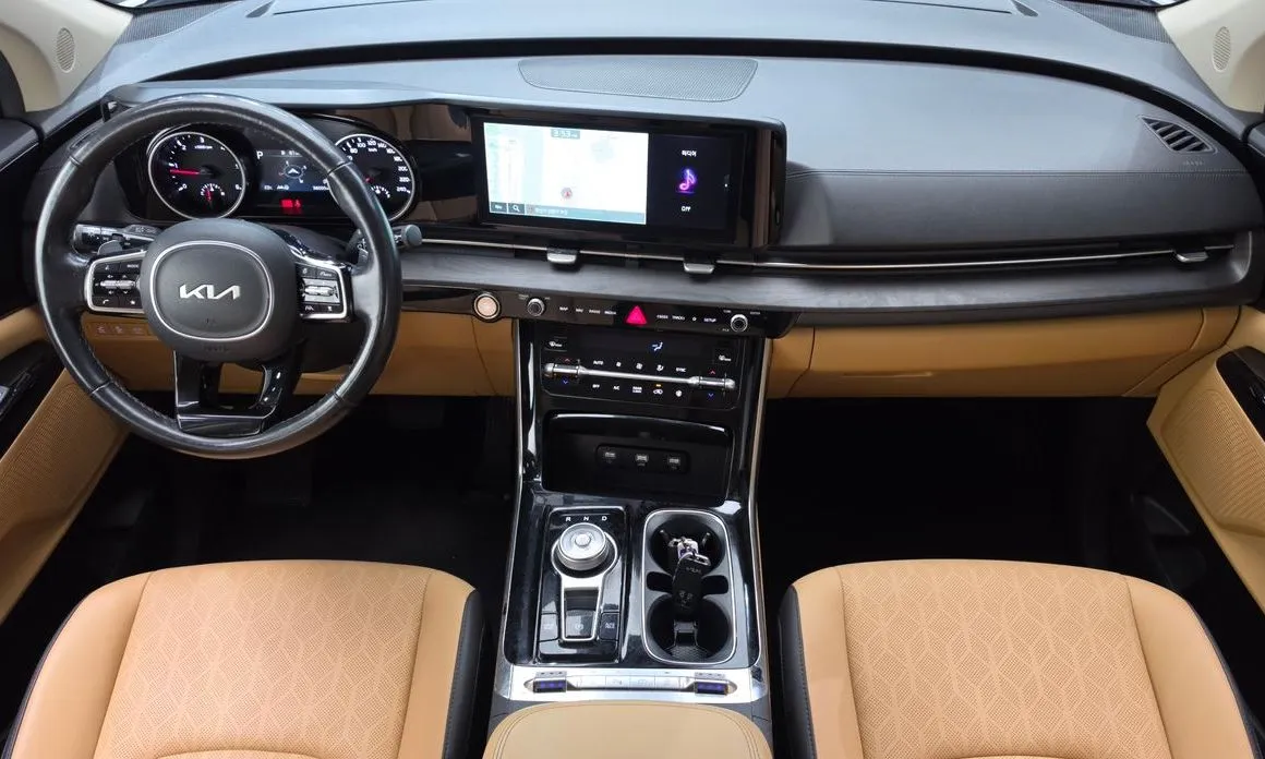 Kia Carnival — фото 10