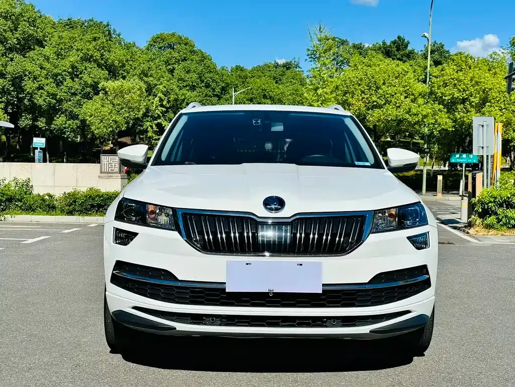 Skoda Karoq — фото 5