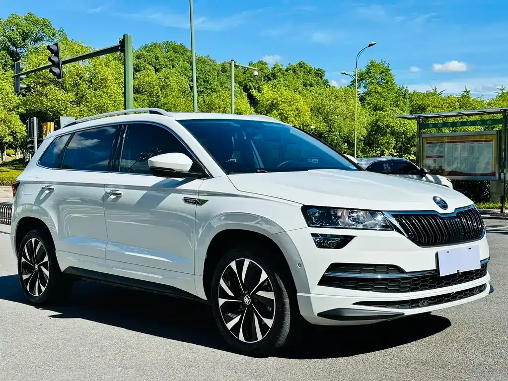 Skoda Karoq — фото 6