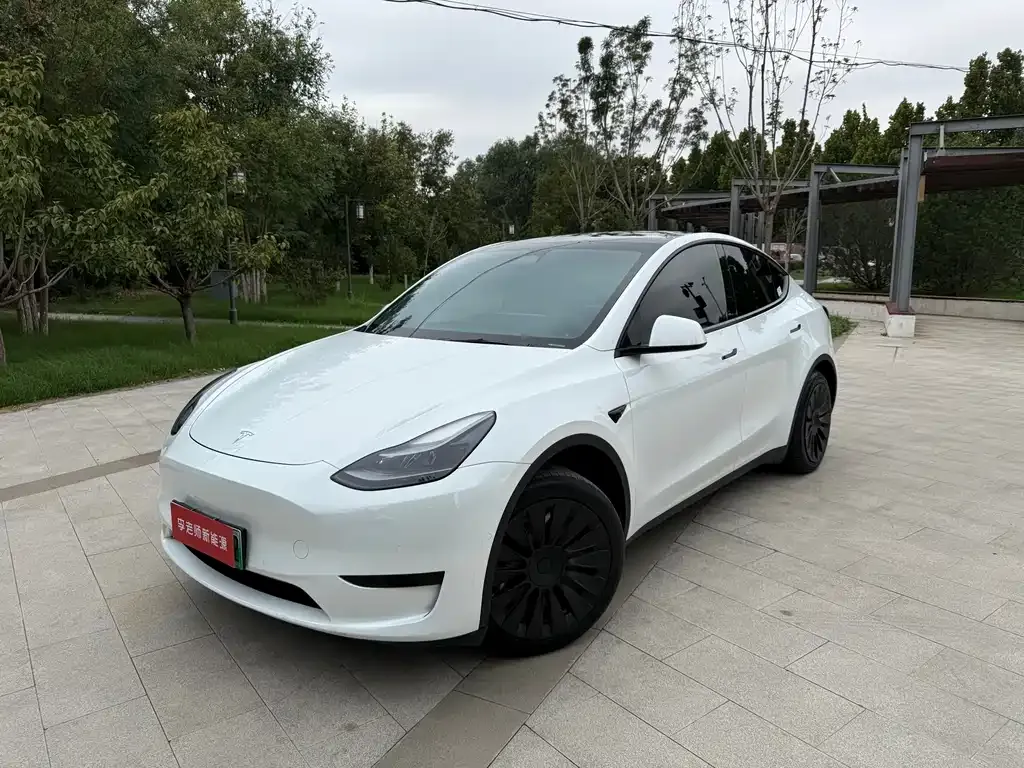 Tesla Model Y — фото 1