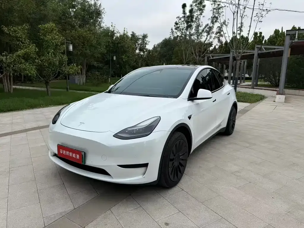 Tesla Model Y — фото 8