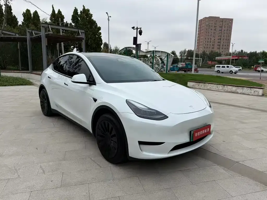 Tesla Model Y — фото 6
