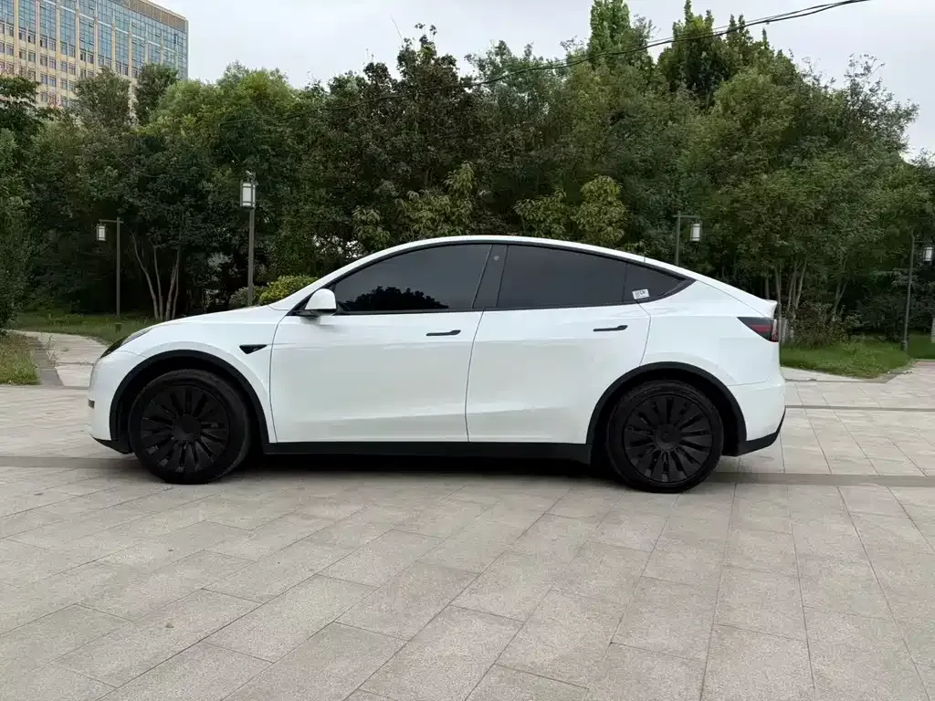 Tesla Model Y — фото 5