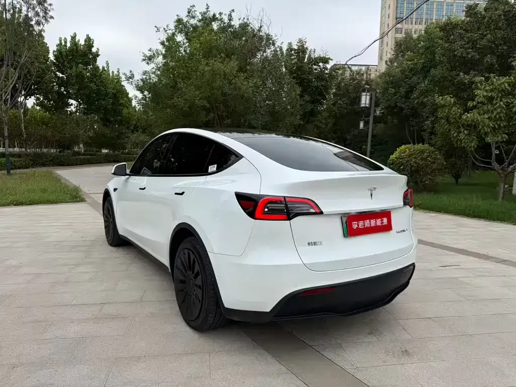 Tesla Model Y — фото 10