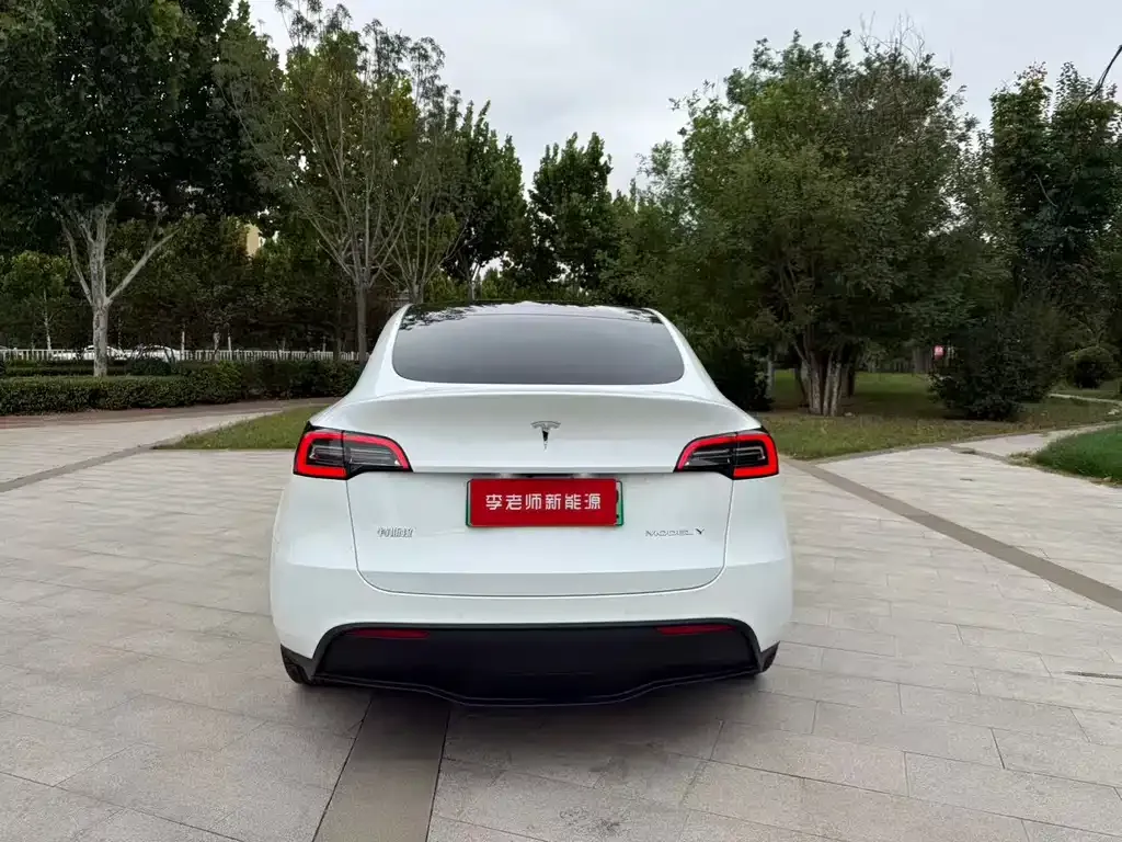 Tesla Model Y — фото 9